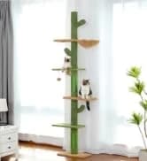 Cat Tunnel S Shape Cat Tunnels for Large and Indoor Cats 51”Long — collection imagery