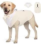 Waterproof Dog Coat Dog Jacket Fullbody Dogs Winter Coat Snowsuit — collection imagery