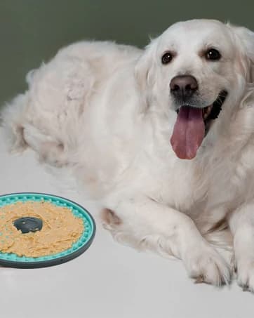 Lick Mat for Dogs Crate Lick Pad Slow Feeder for Crate Training — collection imagery