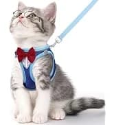 Cat Harness and Leash Set — Escape Proof Soft Vest Walk Pink XS — collection imagery