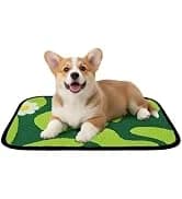 Reusable Puppy Pads — Washable Pee Pads — collection imagery