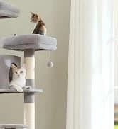 Cat Tunnel S Shape Cat Tunnels for Large and Indoor Cats 51”Long — collection imagery