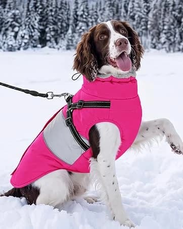 Waterproof Dog Coat Dog Jacket Fullbody Dogs Winter Coat Snowsuit — collection imagery