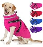 Dog Winter Coat with Harness — collection imagery
