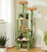 Cat Tunnel S Shape Cat Tunnels for Large and Indoor Cats 51”Long — collection imagery
