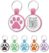 QR Code Cat Tag — Modifiable Pet Online Profile Page — collection imagery