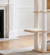 Cat Tunnel S Shape Cat Tunnels for Large and Indoor Cats 51”Long — collection imagery