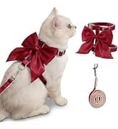 Cat Harness and Leash with Bat Wings Escape Proof Adjustable — collection imagery