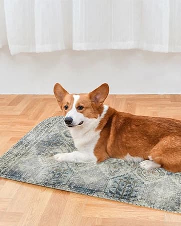 Cable Knit Turtleneck Dog Sweater with Leash Opening — collection imagery