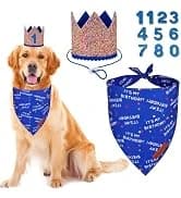 Dog Tuxedo Bandana — Wedding Birthday Dog Bow Tie — collection imagery