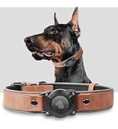 AirTag Dog Collar Holder Compatible with Apple Air Tag — 1st & 2nd Gen — collection imagery
