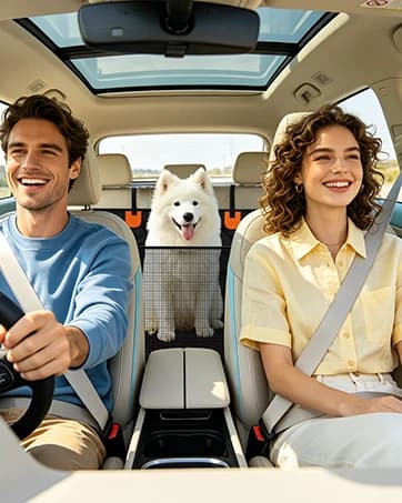 Dog Car Seat Cover for Back Seat — Hard Bottom Hammock Hold 400lbs For Cars — collection imagery