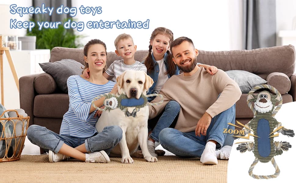 Funny Plush Dog Chew Toys — Squeaky Dog Toys — product details