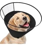 Dog Cone to Stop Licking — Clear Recovery Collar with Detachable Zipper — collection imagery
