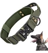 Reflective Dog Collar — Adjustable Nylon for Medium Dogs — collection imagery