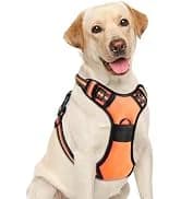 Dog Harness — No Pull Pet Vest for Large Dog — collection imagery