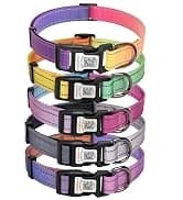 Waterproof Airtag Dog Collar Holder for Apple Air Tag — collection imagery