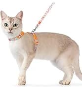 Cat Harness and Leash Set — Adjustable Pet Straps — collection imagery
