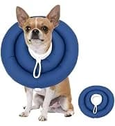 Soft Dog Cones — Recovery Dog Donut Collar After Surgery- Cone of Shame Alternative — collection imagery