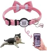 Leather Cat Collar with Bell Breakaway- Adjustable — collection imagery