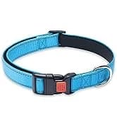 2 Pack Dog Leash — Heavy Duty Nylon Rope Pet Leashes — collection imagery