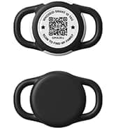 QR Code Cat Tag — Modifiable Pet Online Profile Page — collection imagery