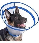 Dog Cone to Stop Licking — Clear Recovery Collar with Detachable Zipper — collection imagery