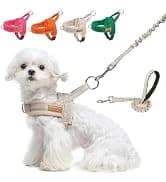 Dog Leash for Large Dogs — 5FT Heavy Duty Rope Leash Bulk — collection imagery