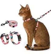 Cat Harness and Leash with Bat Wings Escape Proof Adjustable — collection imagery