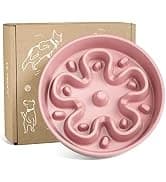 Dog Bowls Slow Feeder Ceramic — 1.5 Cup Slow Feeding Bowl for Small and Medium Breed — collection imagery