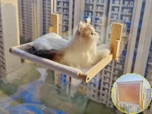 Foldable Cat Window Perch — Natural Wood — collection imagery