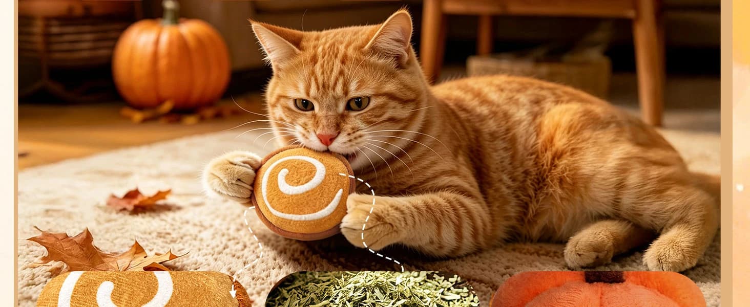 Plush Fall Catnip Toys for Indoor Cats 6 Pack — Pumpkin Shape — product details