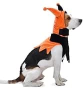 Dog Coat Warm Dog Winter Coat Waterproof Dogs Jacket with Harness — collection imagery