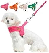 Dog Leash for Large Dogs — 5FT Heavy Duty Rope Leash Bulk — collection imagery