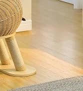 Cat Tunnel S Shape Cat Tunnels for Large and Indoor Cats 51”Long — collection imagery