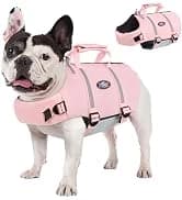 Waterproof Dog Coat Dog Jacket Fullbody Dogs Winter Coat Snowsuit — collection imagery