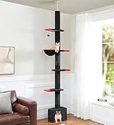 Cat Tunnel S Shape Cat Tunnels for Large and Indoor Cats 51”Long — collection imagery