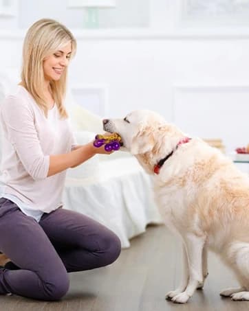 Tough Dog Toys for Aggressive Chewers 3 Pack — Indestructible Dog Toys for Large Dogs — collection imagery