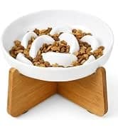 Elevated Slow Feeder Dog Bowl — collection imagery