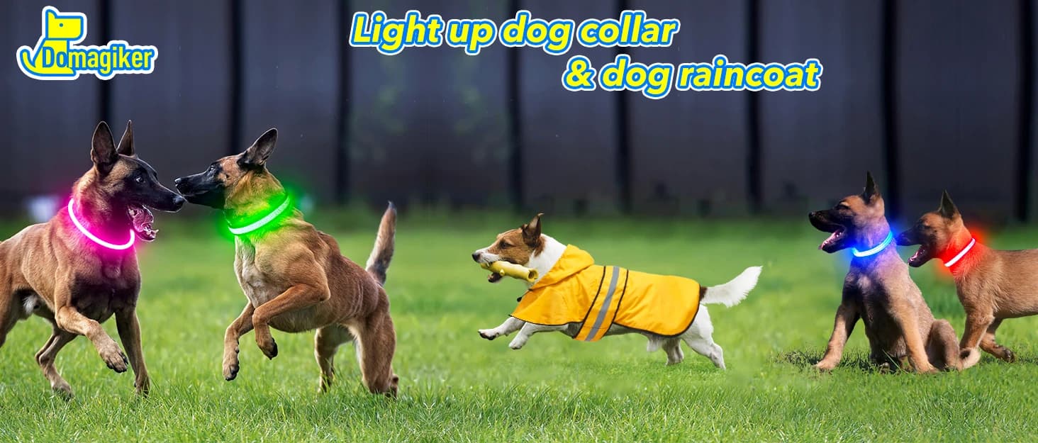 Waterproof Dog Raincoats - Hooded Raincoats for Dogs — collection imagery