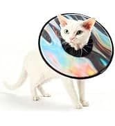 Adjustable Cat Harness and Leash Set — Escape Proof — collection imagery
