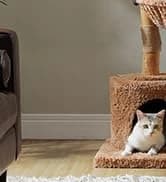 Cat Tunnel S Shape Cat Tunnels for Large and Indoor Cats 51”Long — collection imagery