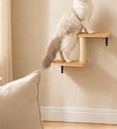 Cat Tunnel S Shape Cat Tunnels for Large and Indoor Cats 51”Long — collection imagery