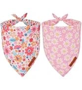 Dog Tuxedo Bandana — Wedding Birthday Dog Bow Tie — collection imagery