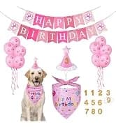 Dog Birthday Party Supplies — Dog Birthday Bandana — collection imagery