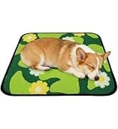 Reusable Puppy Pads — Washable Pee Pads — collection imagery