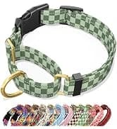 Adjustable and Reflective Dog Collar for Medium Dogs — collection imagery