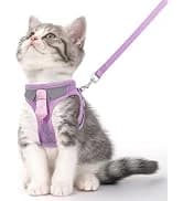 Cat Harness and Leash Set — Escape Proof Soft Vest Walk Pink XS — collection imagery