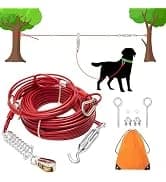 12 Pack Bulk Dog Leashes — 6FT Pet Lead Leash with Swivel Hook — collection imagery