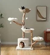Cat Tunnel S Shape Cat Tunnels for Large and Indoor Cats 51”Long — collection imagery
